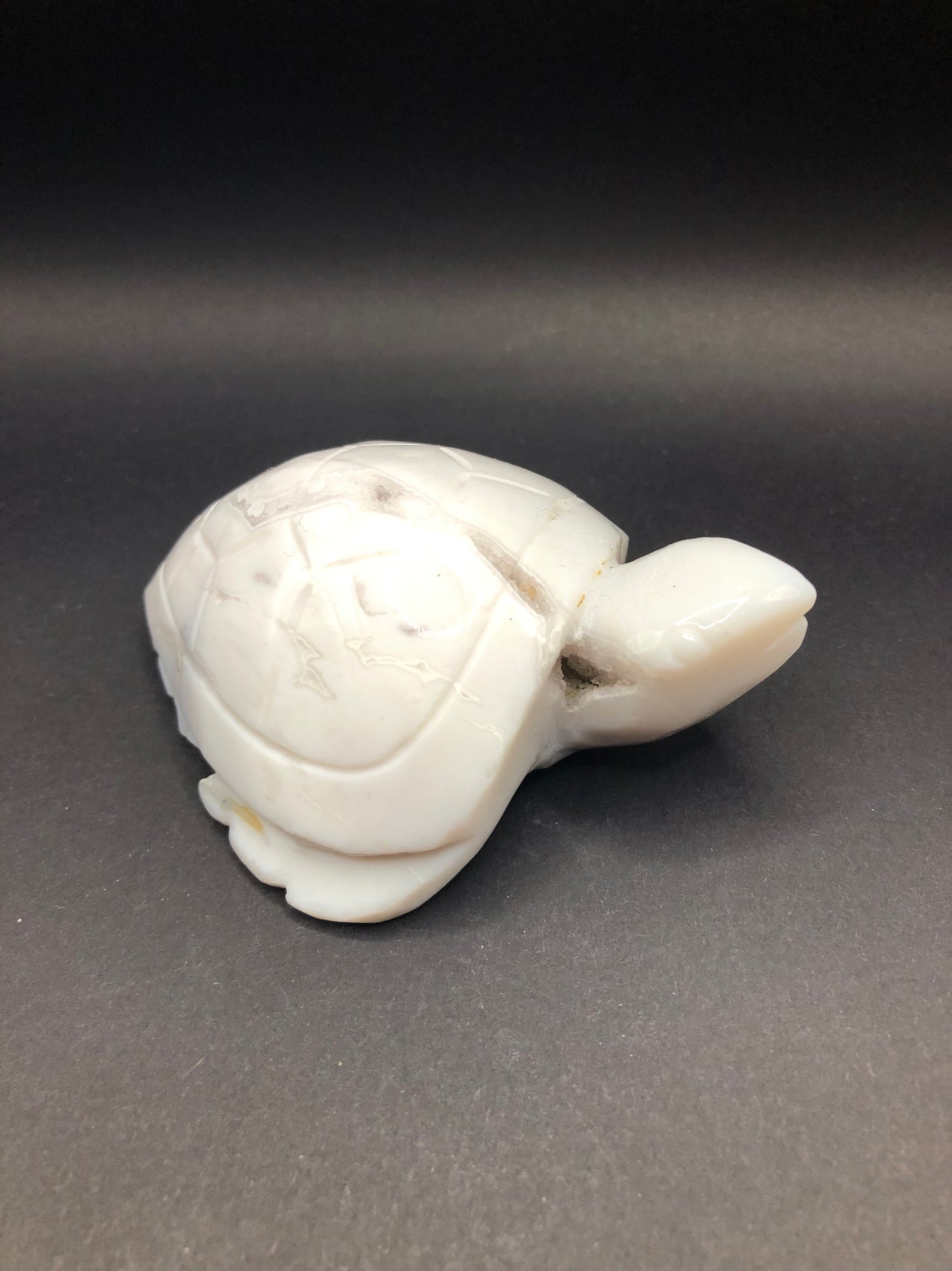 White Agate Sea Turtle