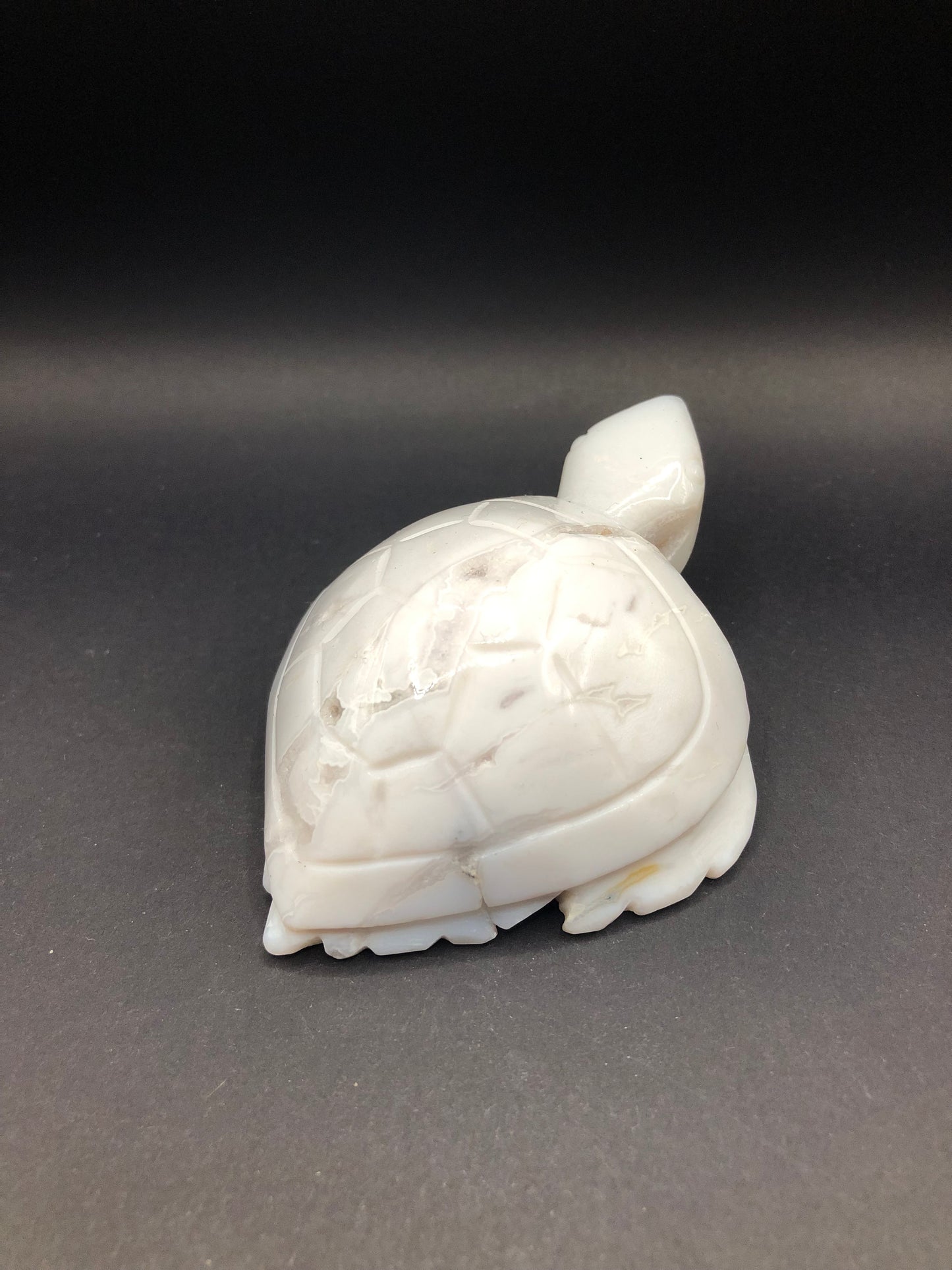 White Agate Sea Turtle