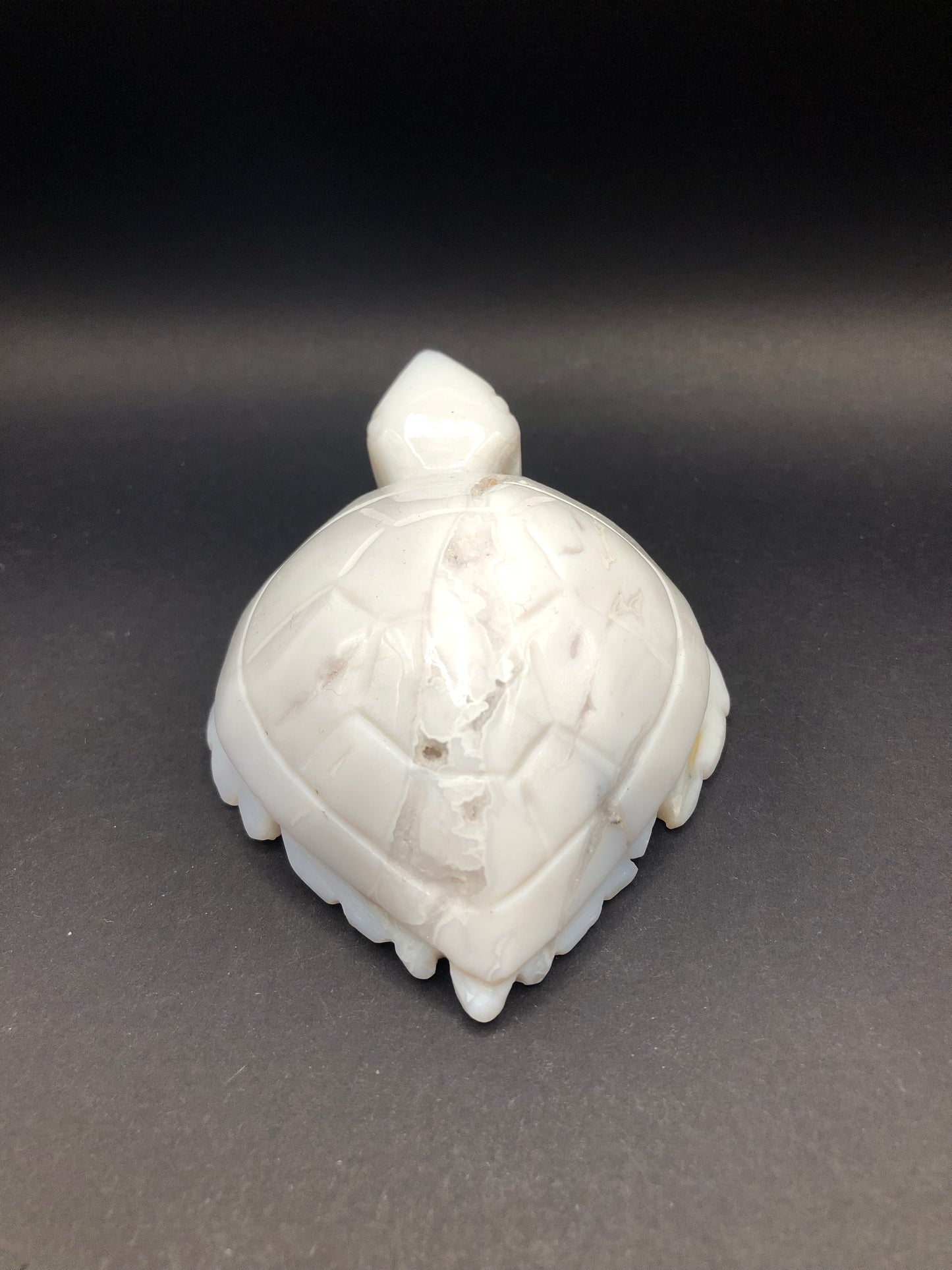White Agate Sea Turtle