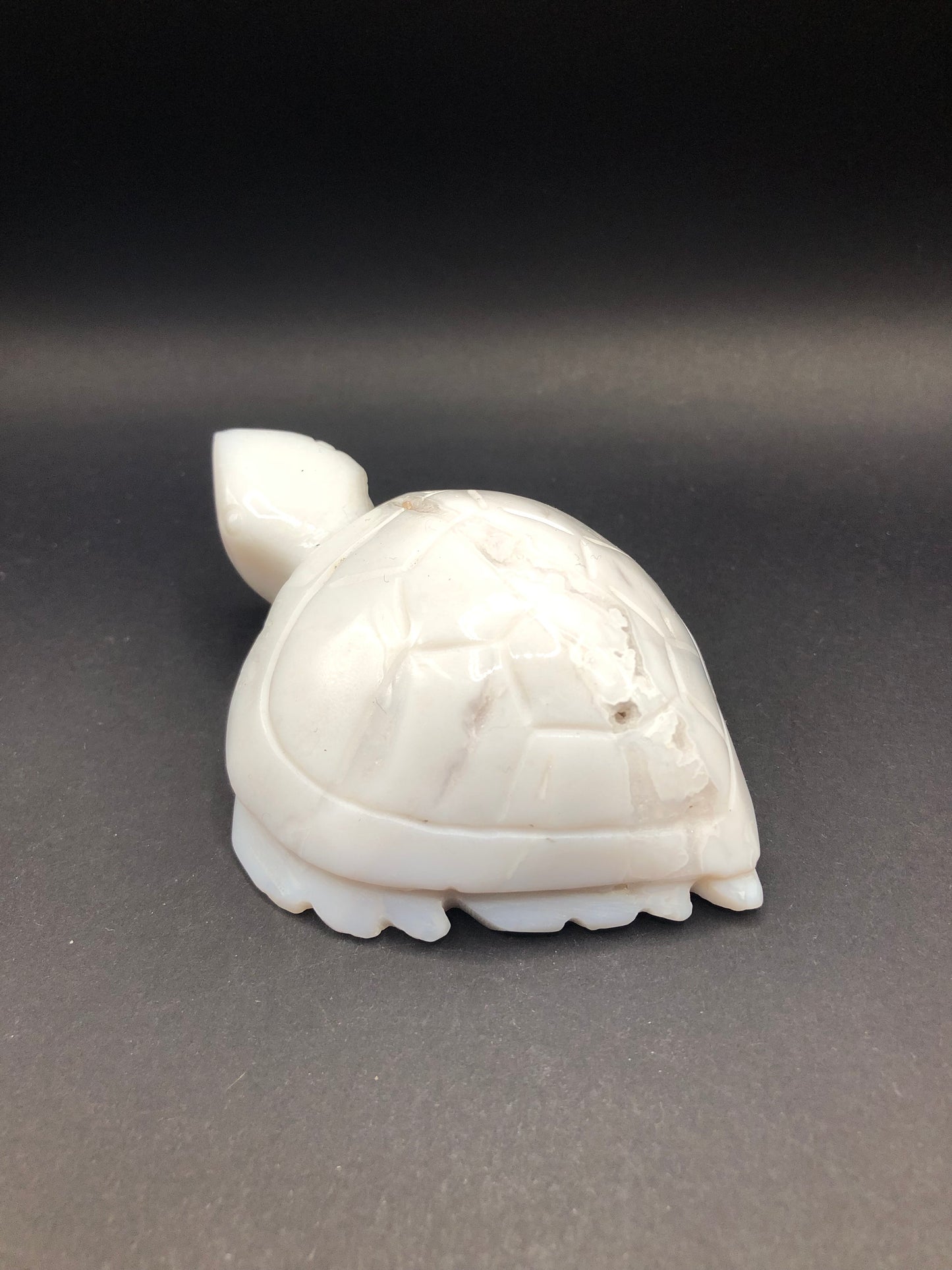 White Agate Sea Turtle