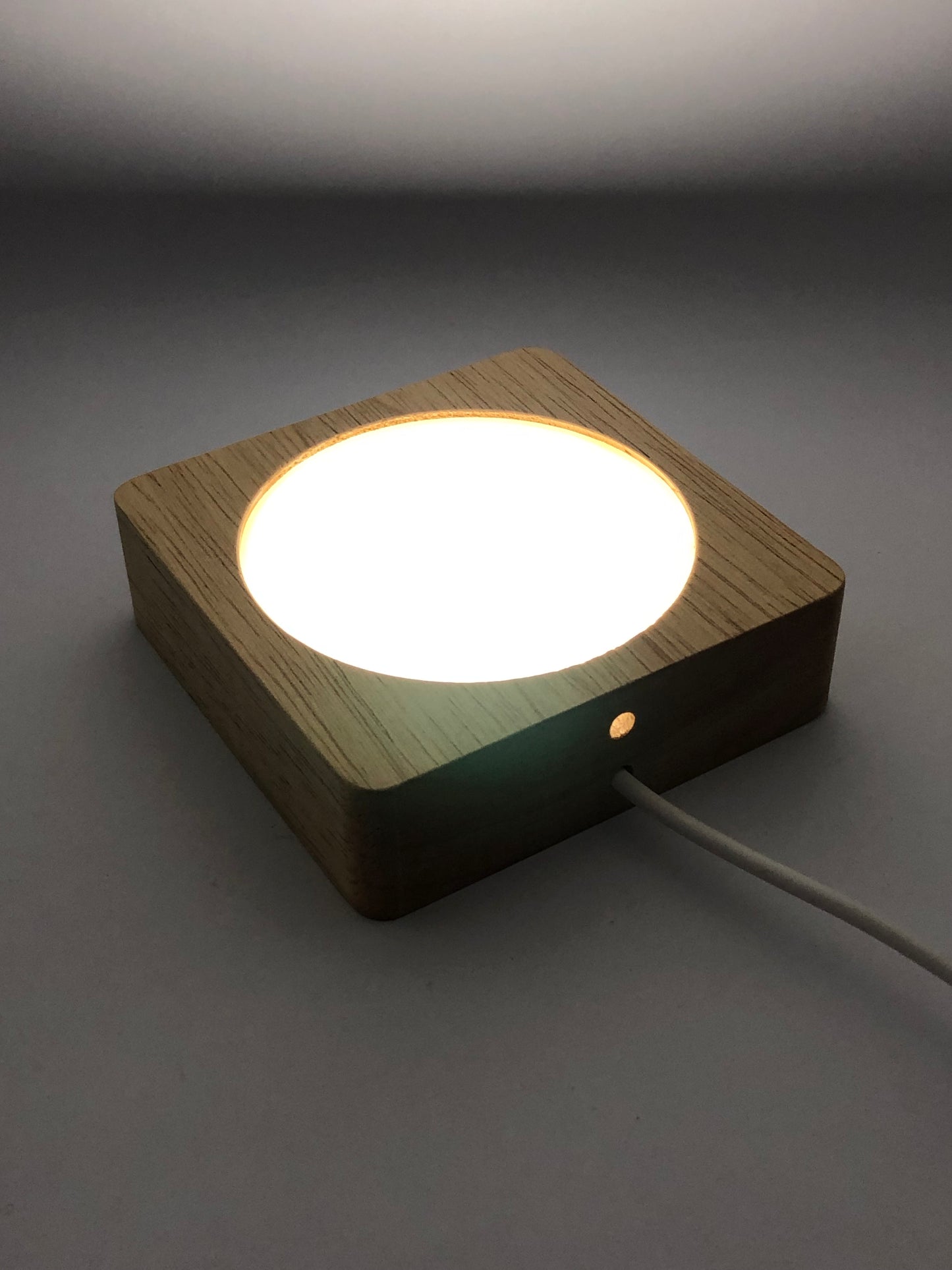 Fluorescent Light Box