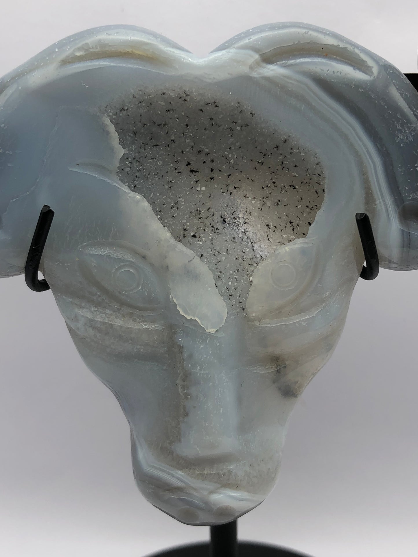 Agate Ox Head with stand