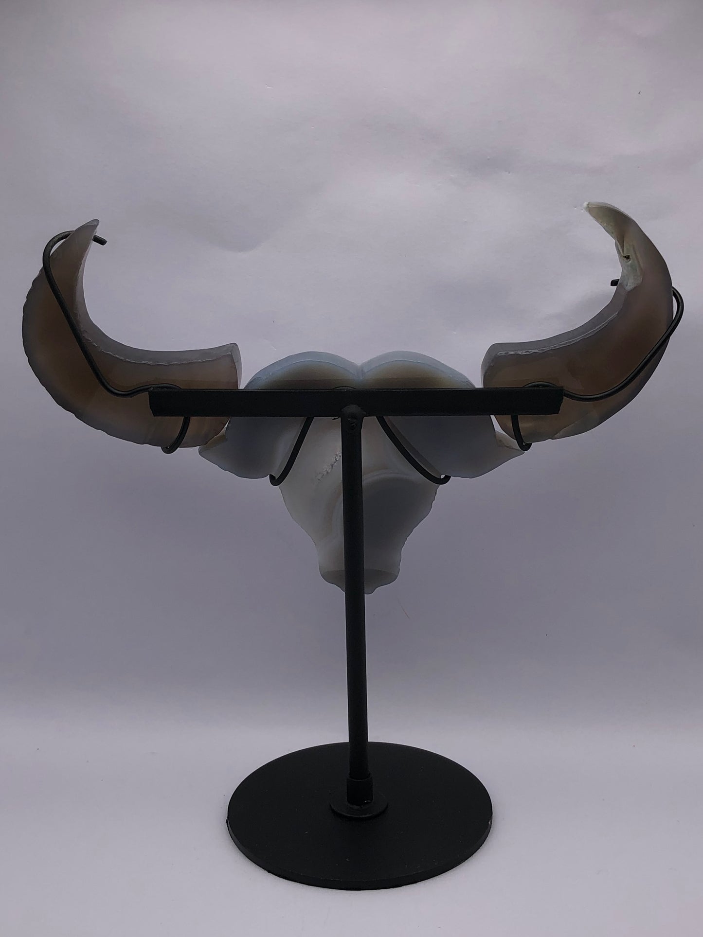 Agate Ox Head with stand