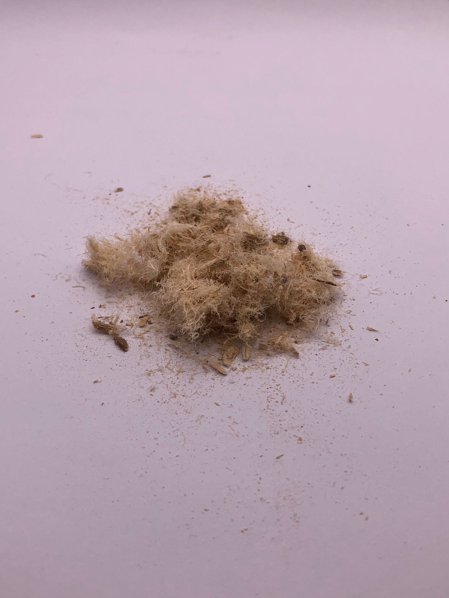 Slippery Elm (Organic)