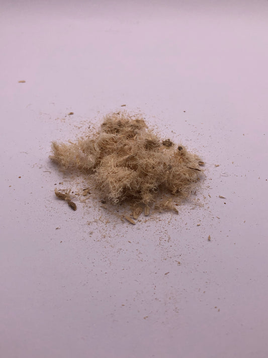 Slippery Elm (Organic)